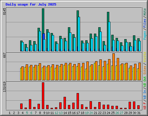 Daily usage for July 2025
