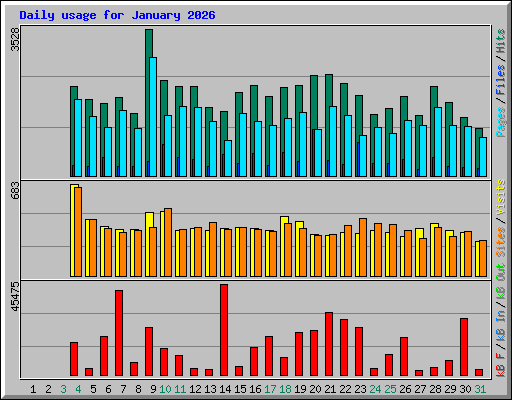 Daily usage for January 2026