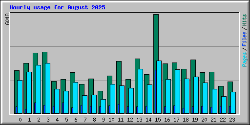Hourly usage for August 2025