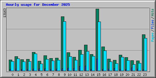 Hourly usage for December 2025