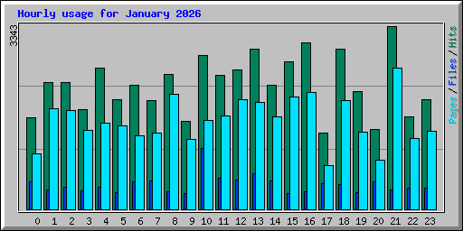 Hourly usage for January 2026