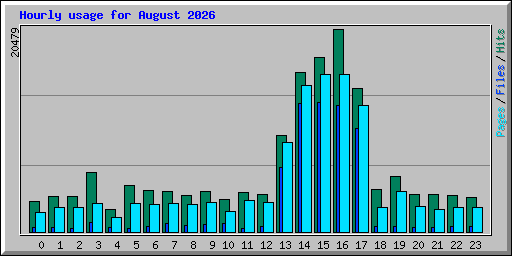 Hourly usage for August 2026